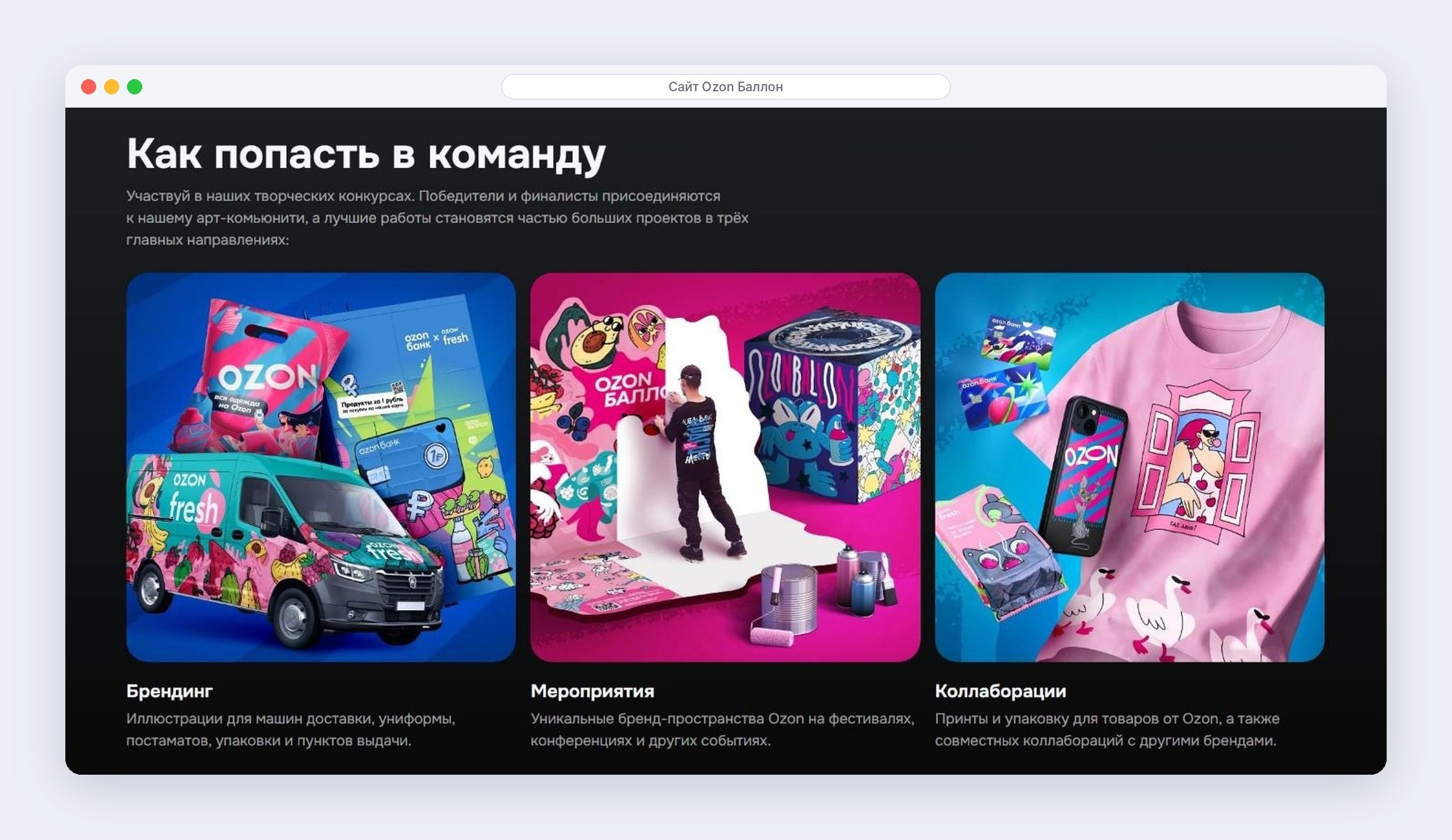 Страница для художников Ozon Баллон: брендинг, мероприятия и коллаборации